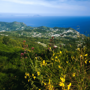 Panorami dalla cima del Monte Epomeo - Ischia